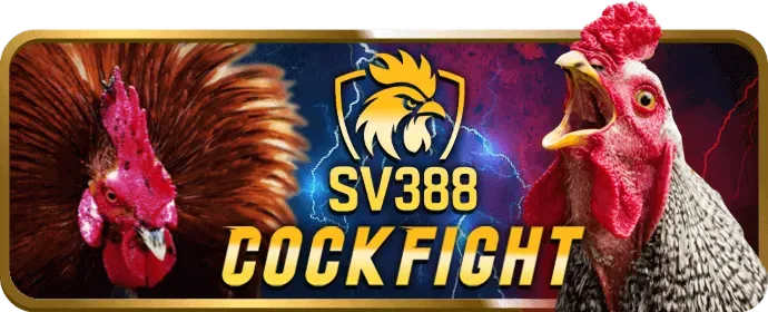 Bảo Vệ Dữ Liệu Cá Nhân win98 casino